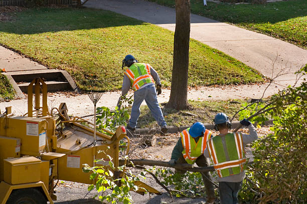 Best Lawn Irrigation Installation and Maintenance  in Pine Knoll Shores, NC